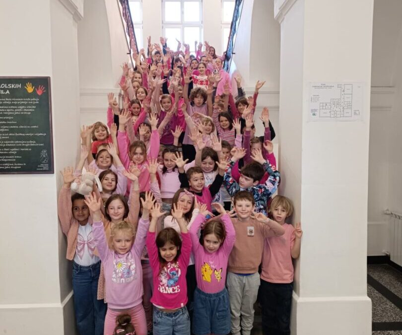 Obilježavanje Dana ružičastih majica