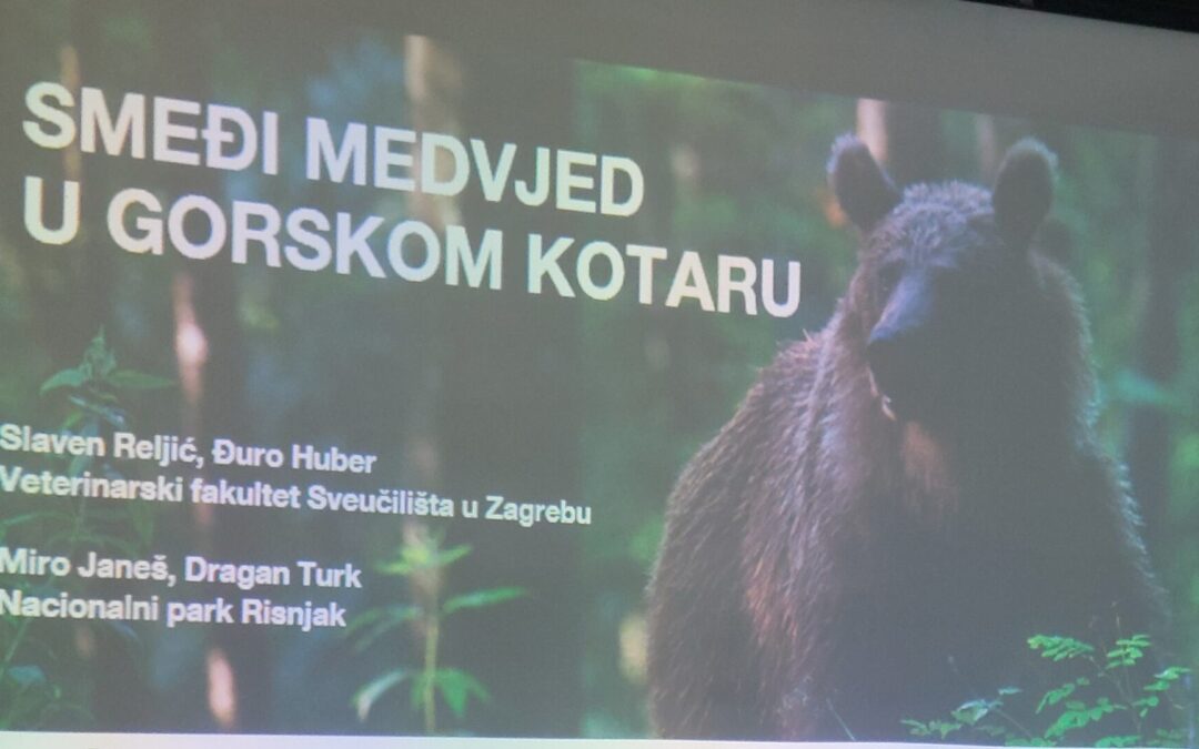 Predavanje i prezentacija istraživanja o medvjedima na području NP Risnjak